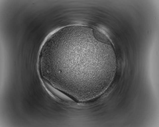 X0000085001379200703121451