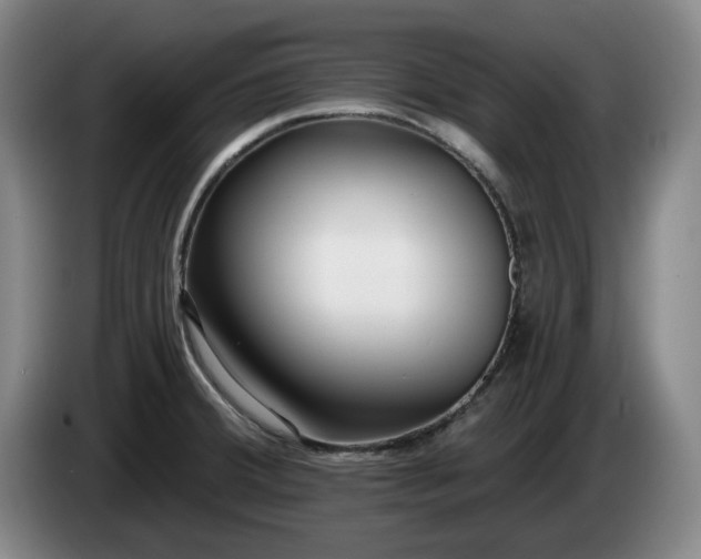 X0000085001380200703121451