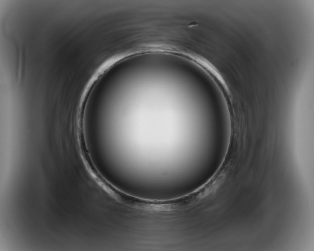 X0000085001381200703121451