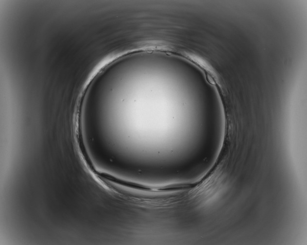 X0000085001383200703121451