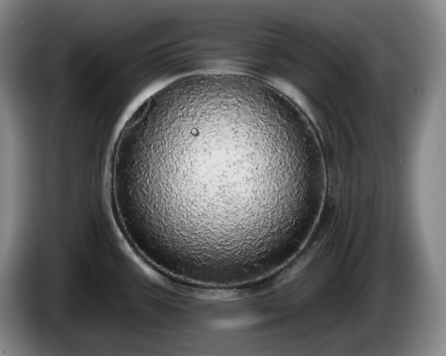 X0000085001387200703121451