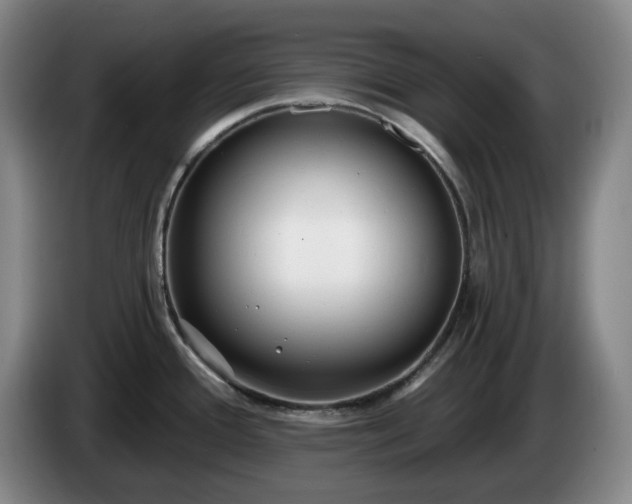 X0000085001388200703121451