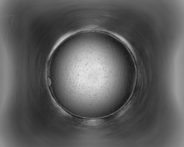 X0000085001390200703121451