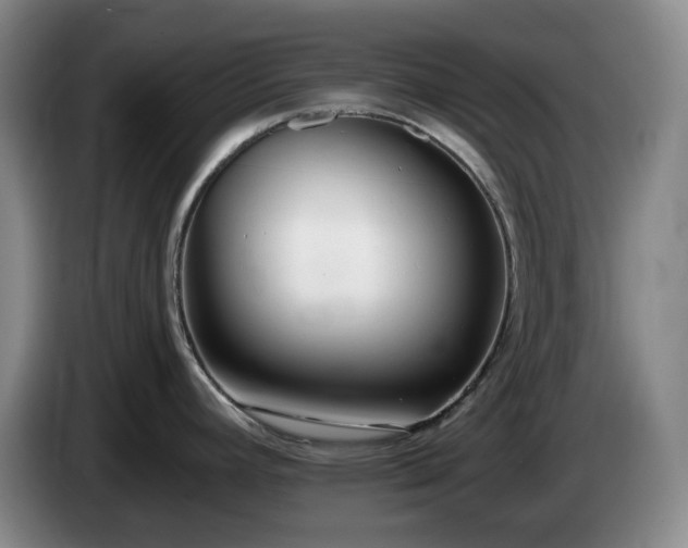 X0000085001392200703121451