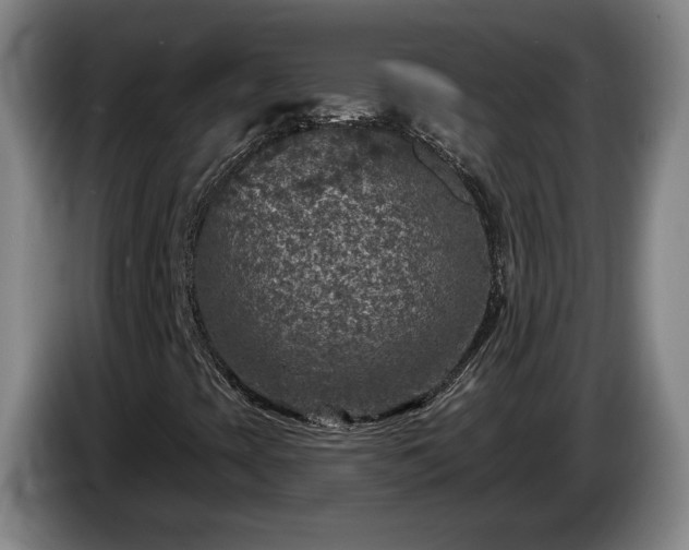 X0000085001393200703121450