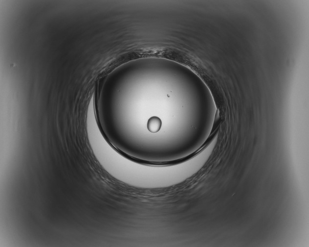 X0000085001394200703121450