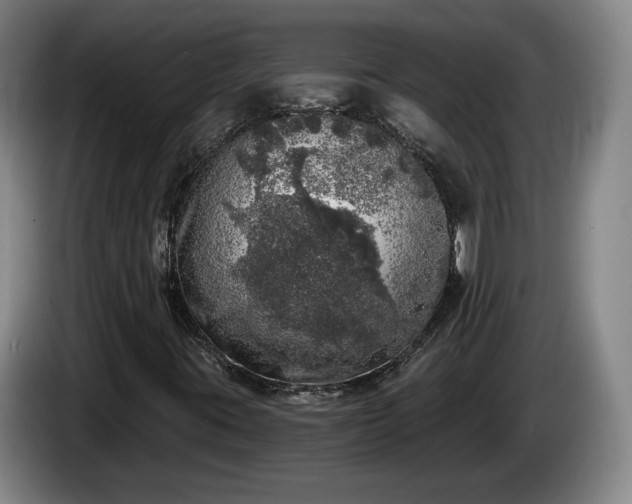 X0000085001395200703121450