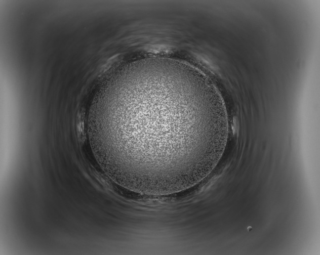 X0000085001396200703121450