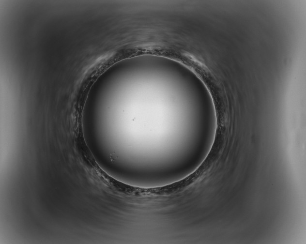 X0000085001398200703121450