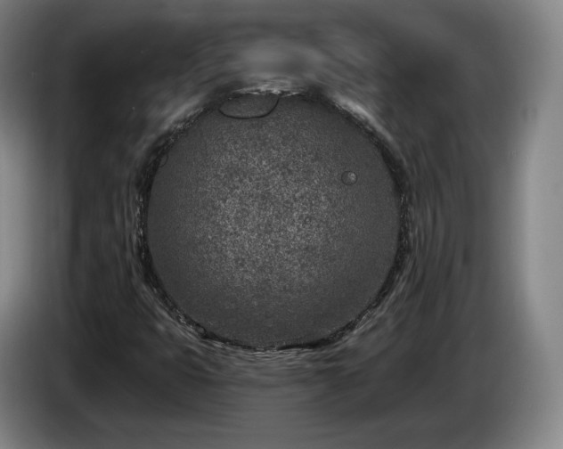 X0000085001399200703121450