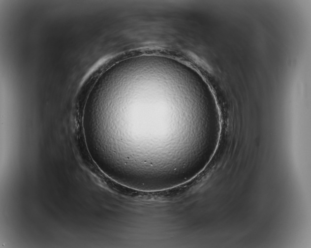 X0000085001400200703121450