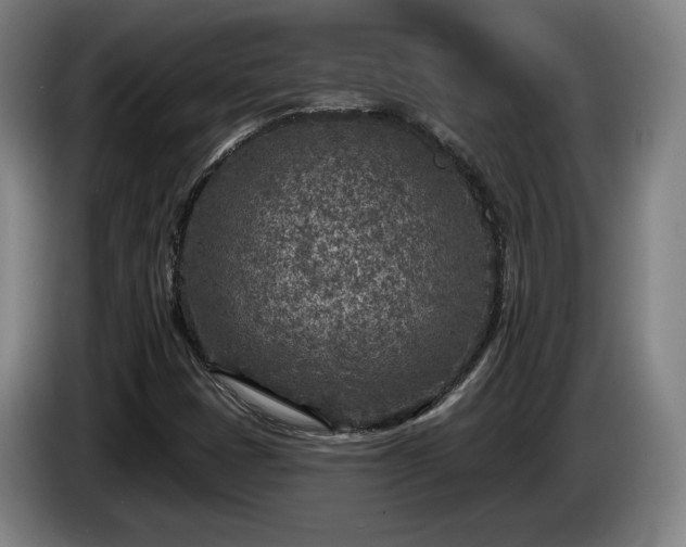 X0000085001401200703121450