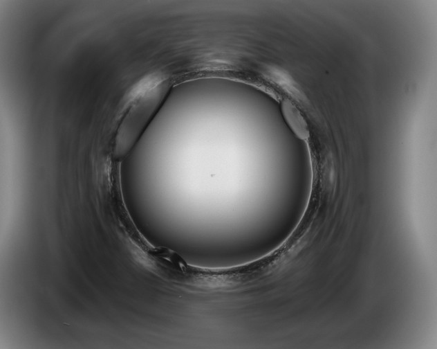 X0000085001402200703121450