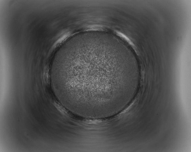 X0000085001403200703121450