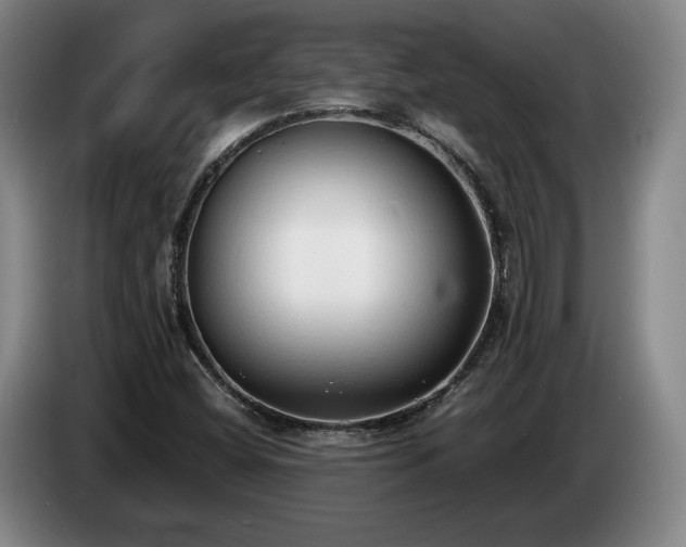 X0000085001404200703121450