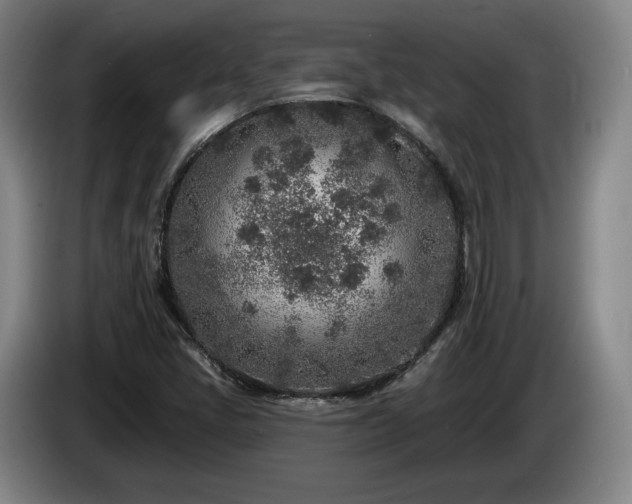 X0000085001405200703121450