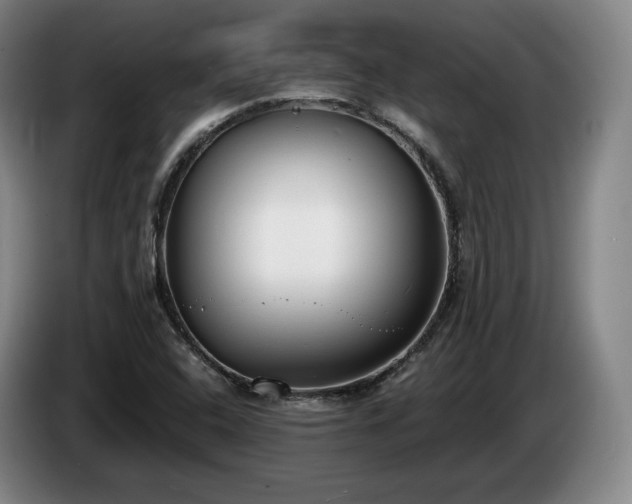 X0000085001408200703121450