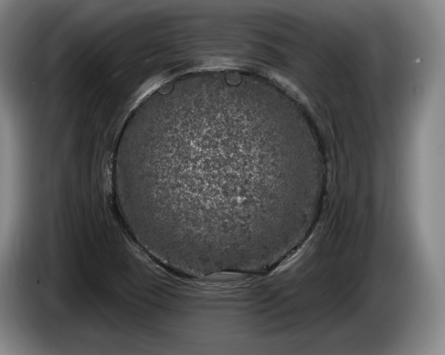 X0000085001409200703121450