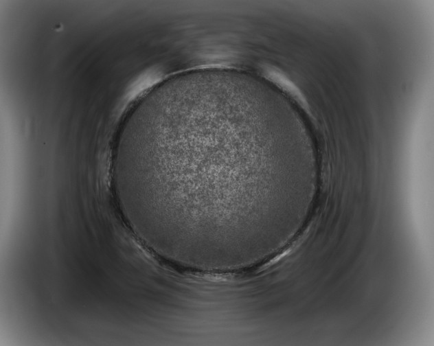 X0000085001411200703121450