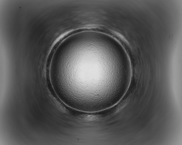 X0000085001412200703121450