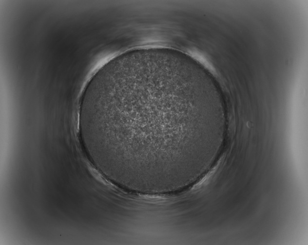 X0000085001413200703121450