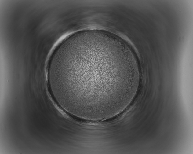 X0000085001416200703121450