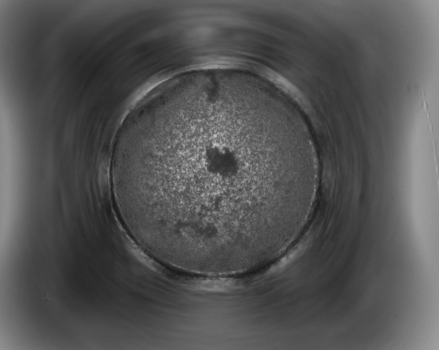 X0000085001417200703121450