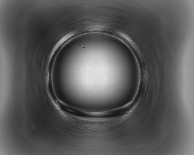 X0000085001418200703121451