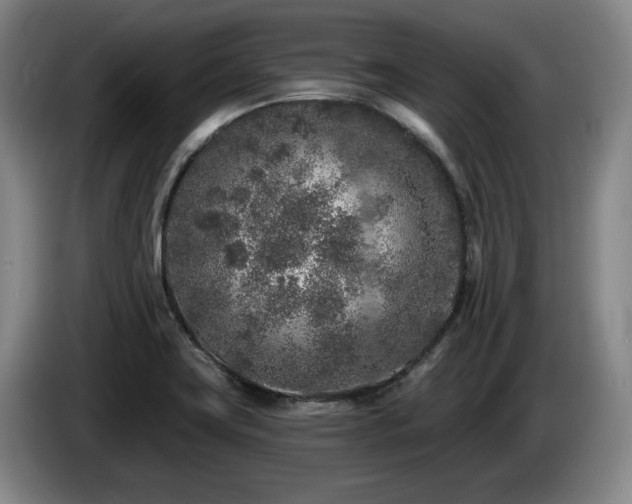 X0000085001419200703121451