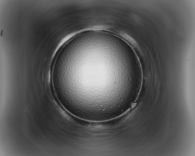 X0000085001420200703121451