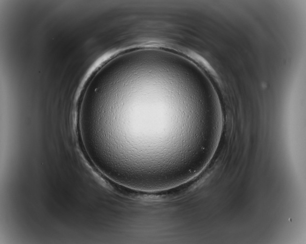 X0000085001424200703121451