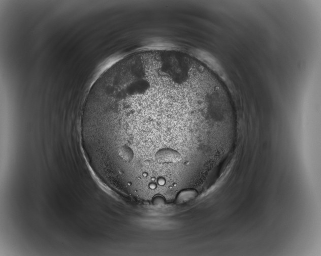 X0000085001425200703121451