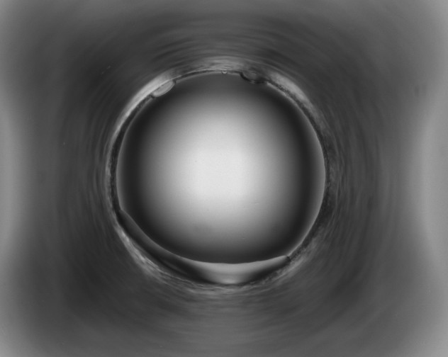 X0000085001426200703121451