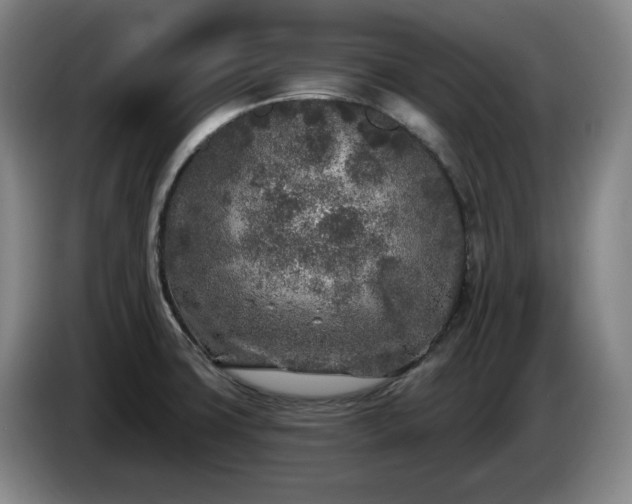 X0000085001427200703121451