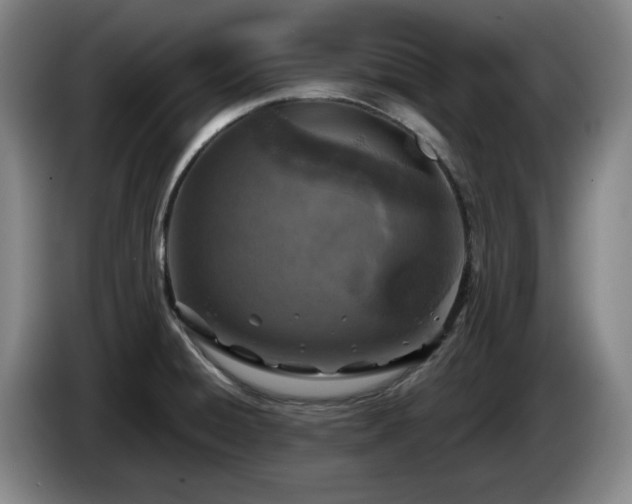 X0000085001428200703121451