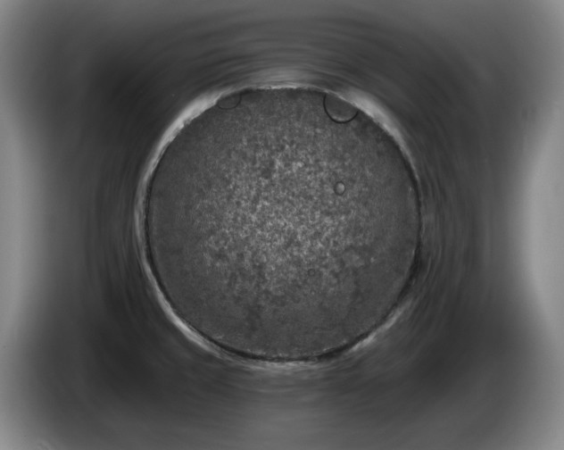 X0000085001429200703121451