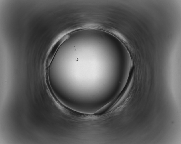 X0000085001430200703121451