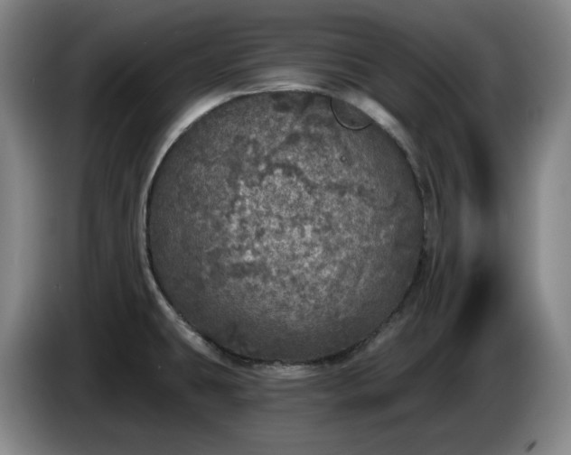 X0000085001431200703121451