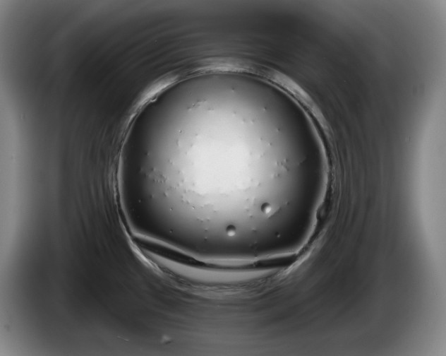 X0000085001433200703121451