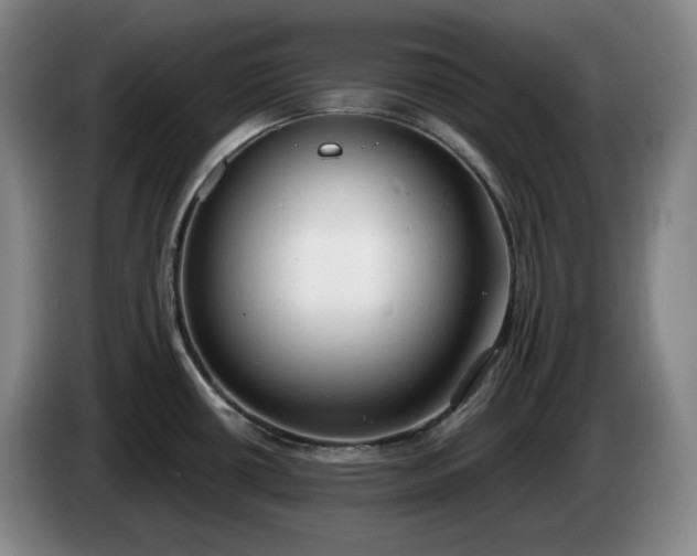 X0000085001434200703121451