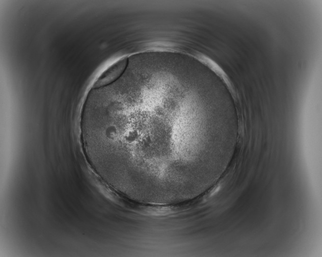 X0000085001435200703121451