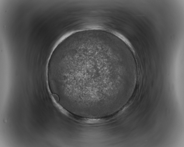 X0000085001439200703121451