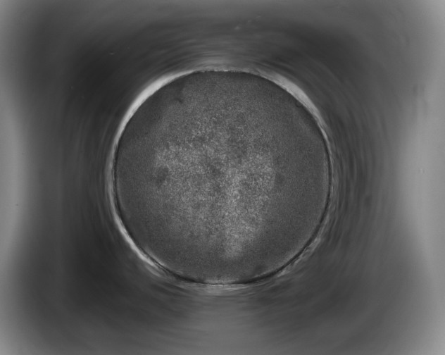 X0000085001440200703121451