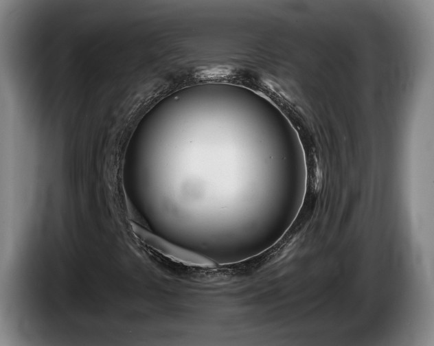 X0000085001441200703121450