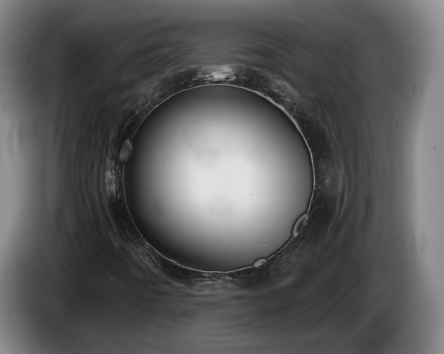 X0000085001442200703121450