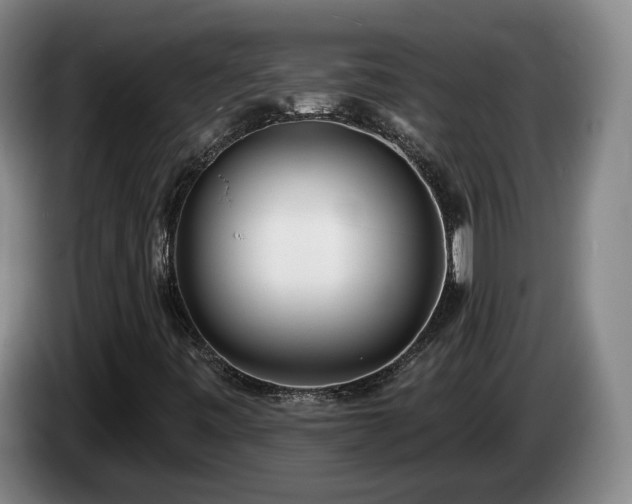 X0000085001443200703121450