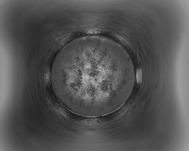 X0000085001444200703121450