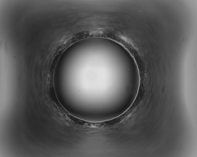 X0000085001445200703121450