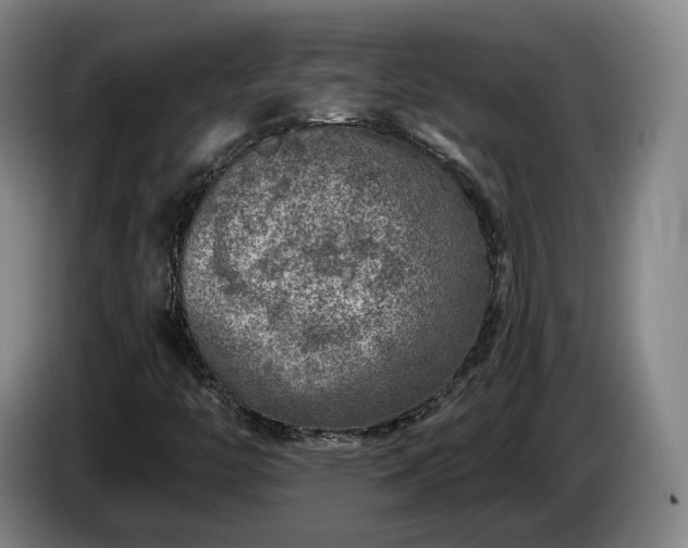 X0000085001446200703121450