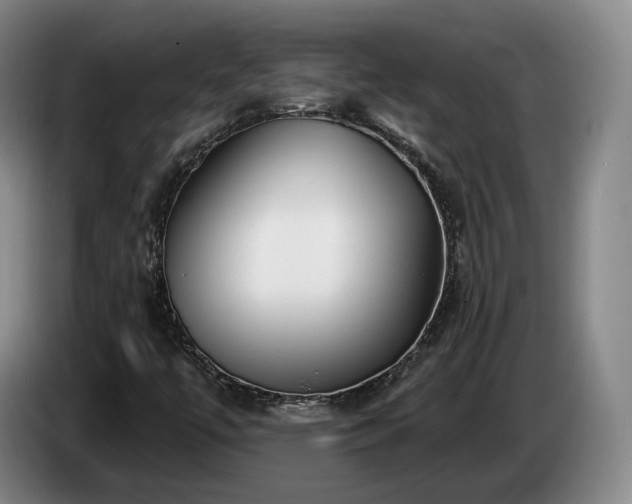 X0000085001447200703121450